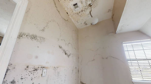 Best Indoor Air Quality Assessment  in Fairburn, GA