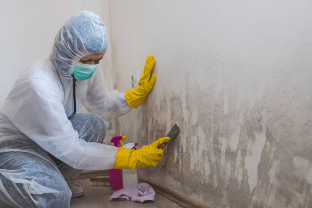 Mold Removal for HVAC Installations in Fairburn, GA