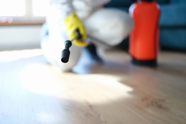 Best Post-Remediation Verification Testing  in Fairburn, GA