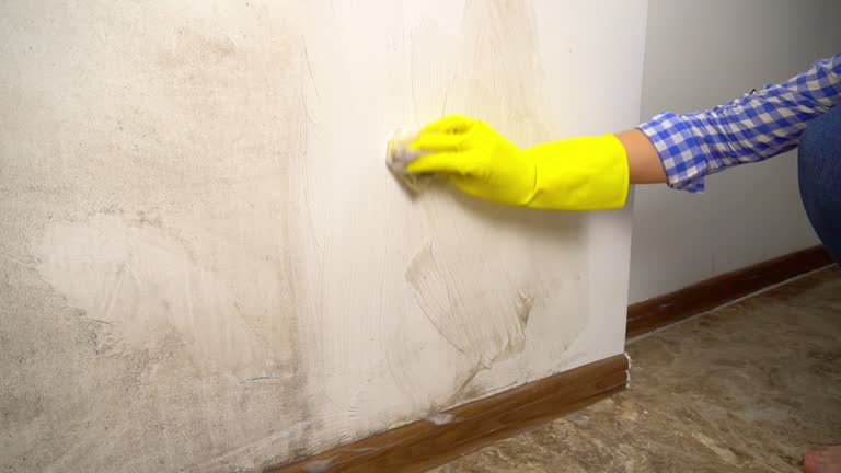 Best Black Mold Removal  in Fairburn, GA