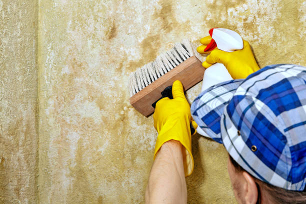 Best Mold Documentation for Insurance Claims  in Fairburn, GA