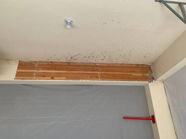 Best Emergency Mold Remediation  in Fairburn, GA