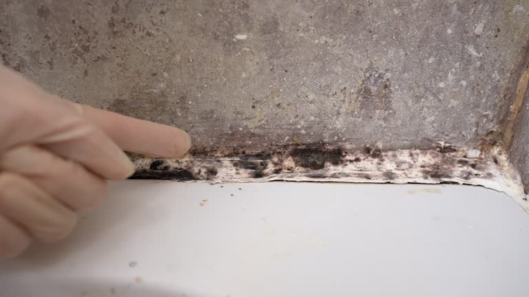 Best Industrial Mold Remediation  in Fairburn, GA