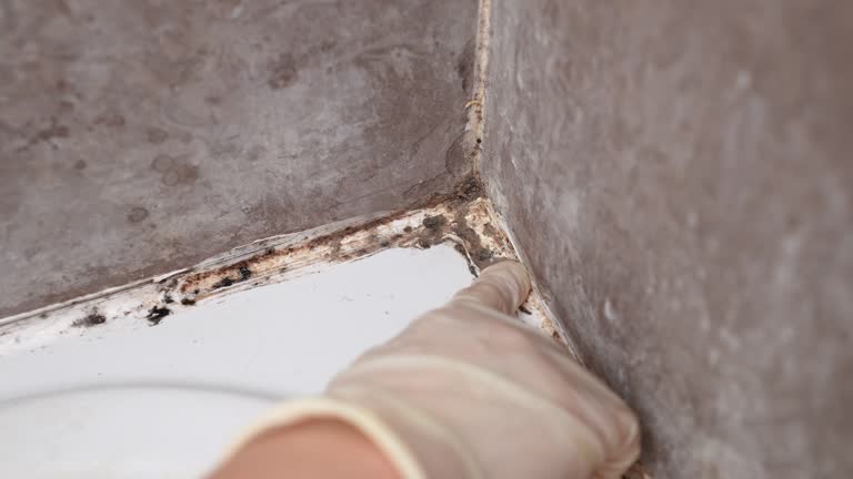 Best Residential Mold Inspection & Testing  in Fairburn, GA